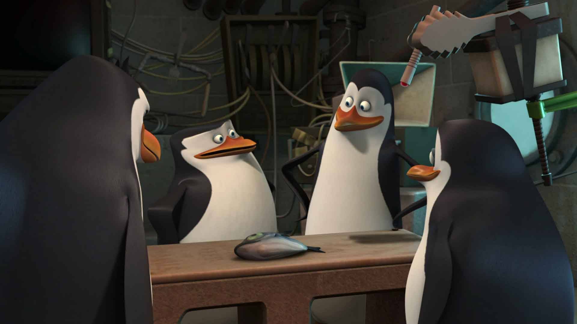 Madagaskar Penguenleri S01 B12