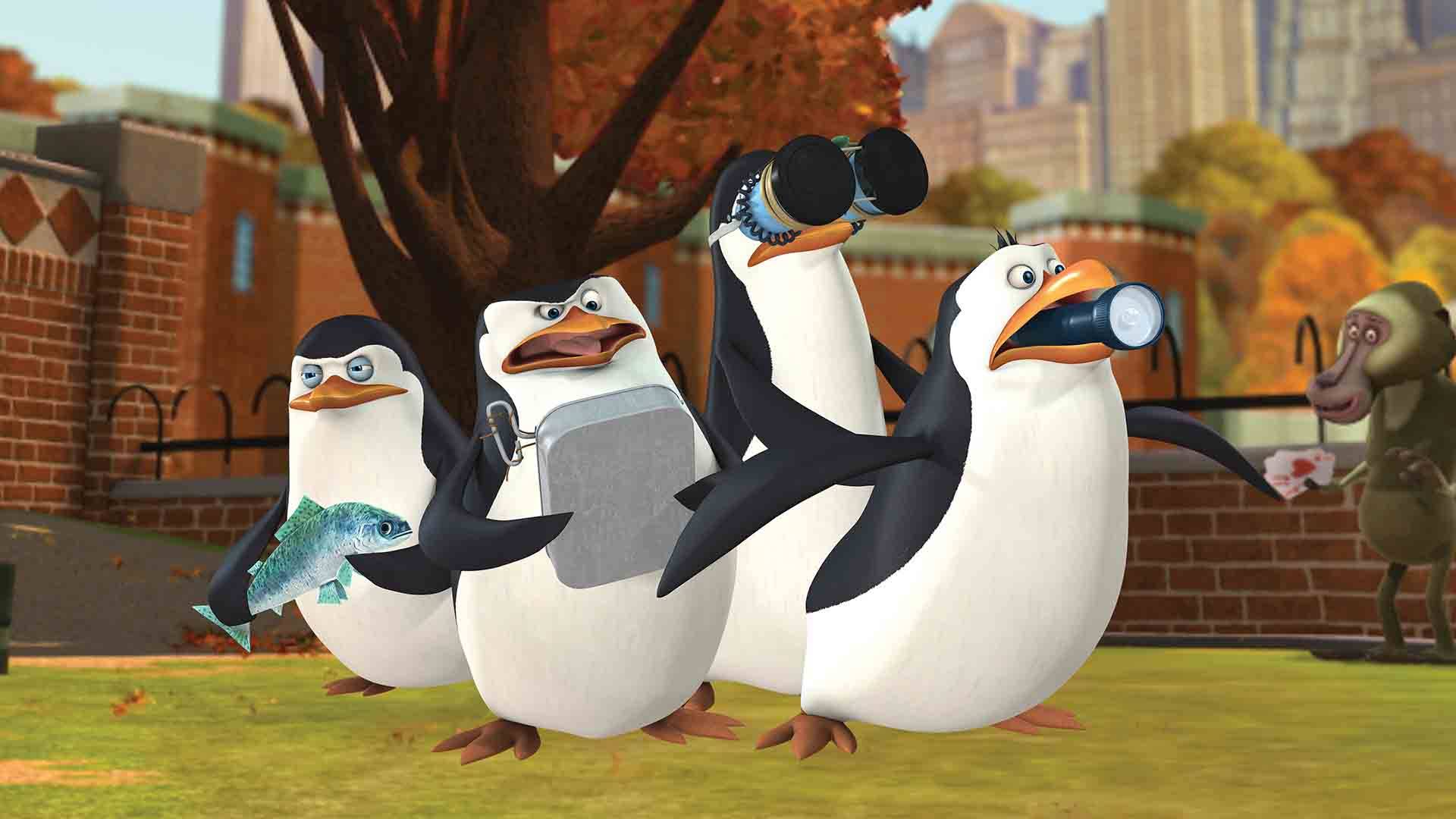 Madagaskar Penguenleri S01 B01