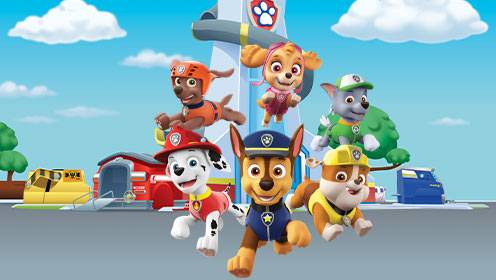 Paw Patrol S06 B10